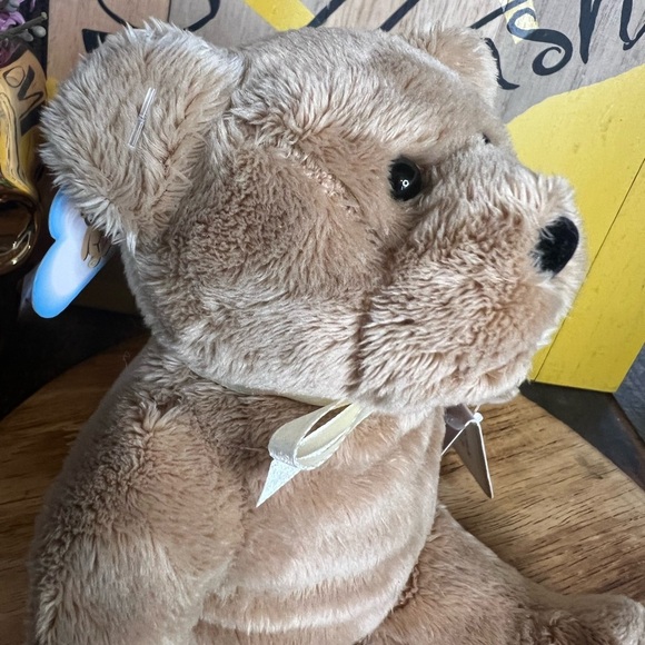 Too Blessed to Be Stressed Holy Bear Plush Stuufed Animal 🐻 2003 - Picture 6 of 14